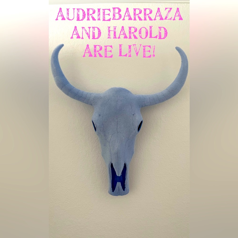 💕🤠AudrieBarraza and Harold Are Live with @anndreabarraza 🤠💕